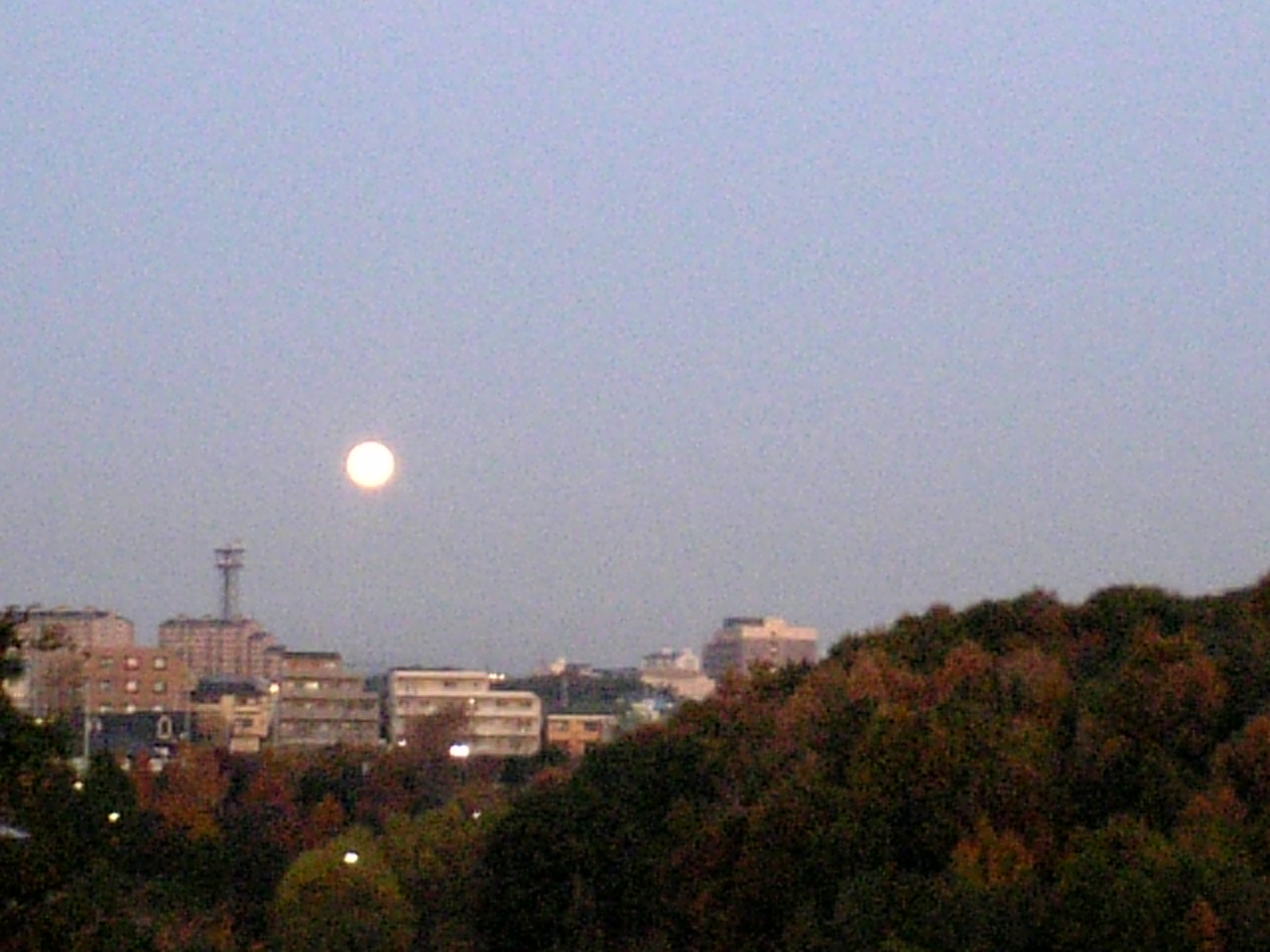 c0061774_22445074.jpg