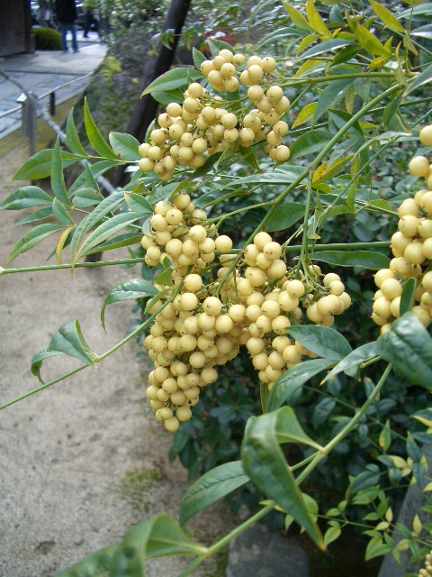 f0089079_13482552.jpg