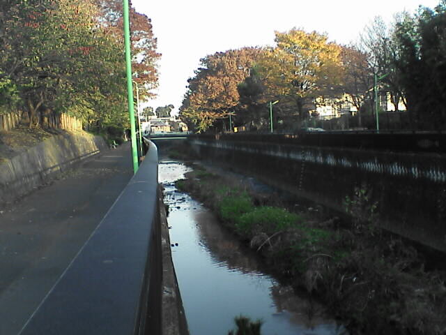 c0069380_1611755.jpg