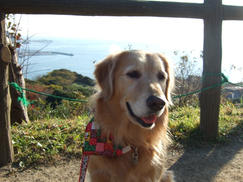 c0104492_0481372.jpg