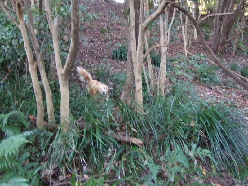 c0104492_11512.jpg