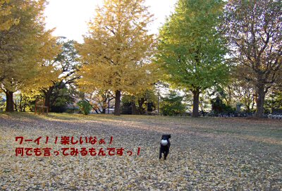c0050400_19182251.jpg