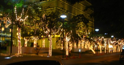 e0007801_231163.jpg