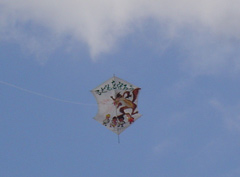 c0052304_20442045.jpg