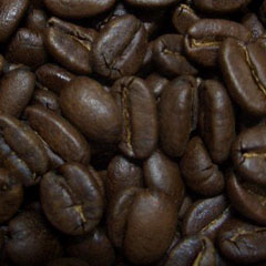 c0036617_10112429.jpg