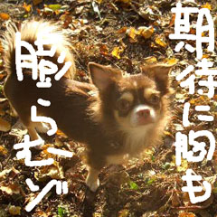 c0036617_10115193.jpg