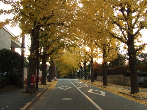 c0069619_21371878.jpg