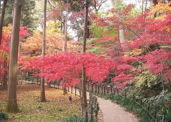 a0053420_171918.jpg