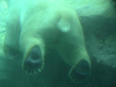 e0055023_226489.jpg