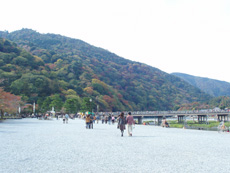 d0041227_1649202.jpg