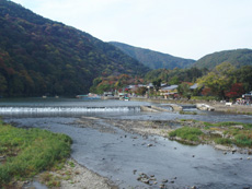 d0041227_1649826.jpg
