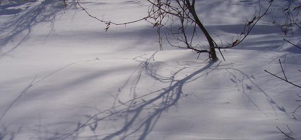 f0118332_23271672.jpg