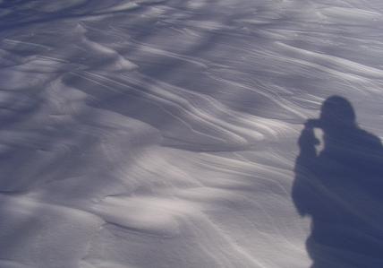 f0118332_23391329.jpg