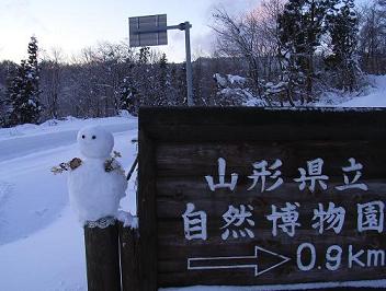 f0118332_23593634.jpg
