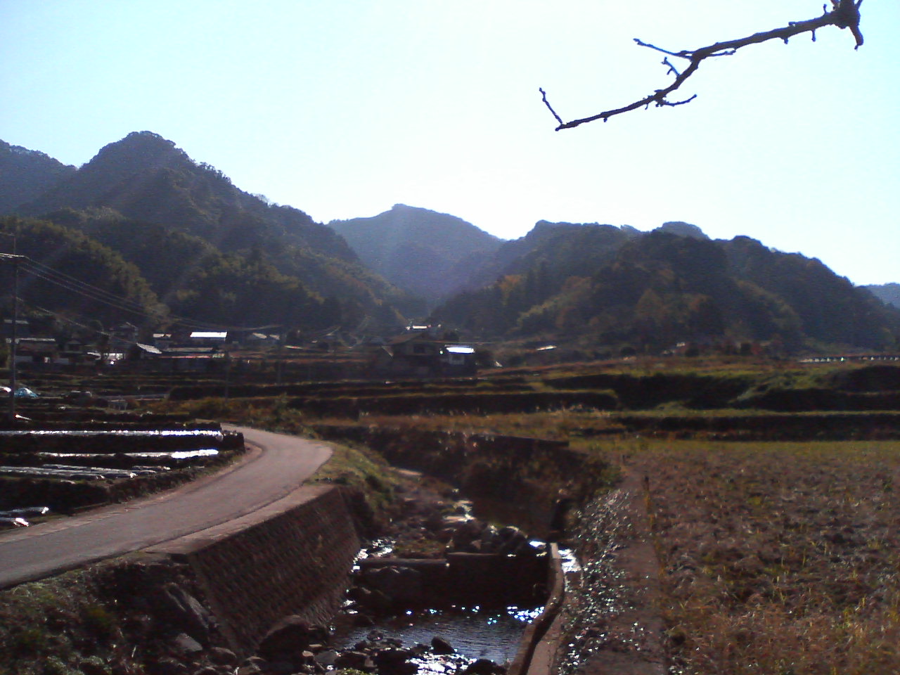 a0074938_18575331.jpg