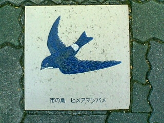 e0034641_17504366.jpg