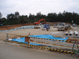 d0065247_0211039.jpg