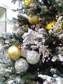 c0069552_23522095.jpg