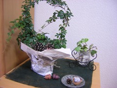 c0081552_23371359.jpg