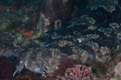 d0021952_2330260.jpg
