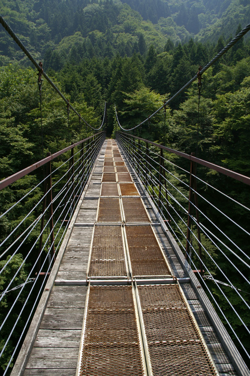 d0100156_187496.jpg