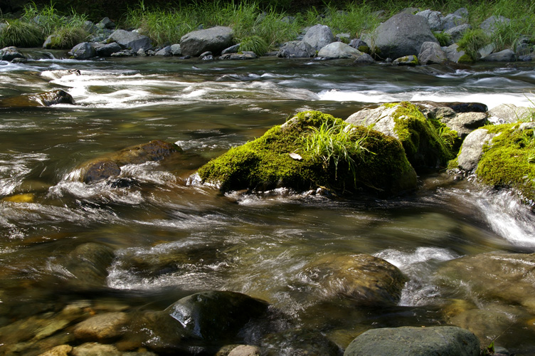 d0100156_20524665.jpg
