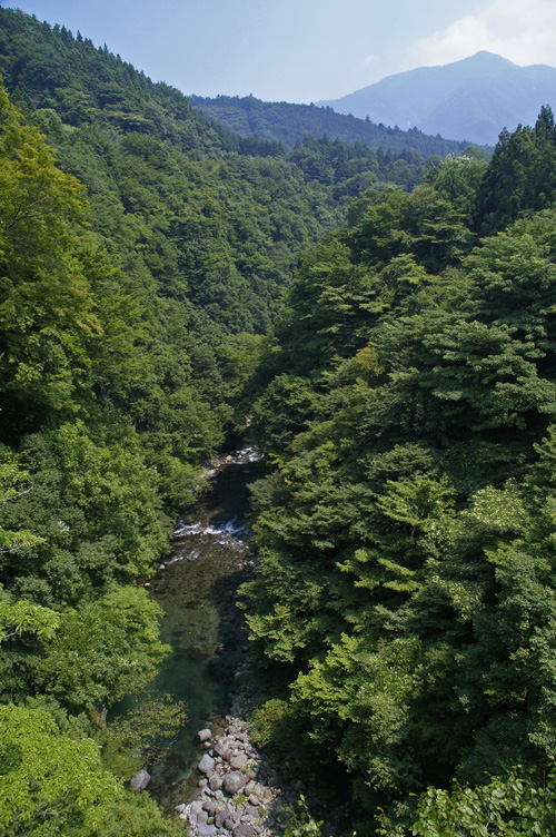 d0100156_2053154.jpg
