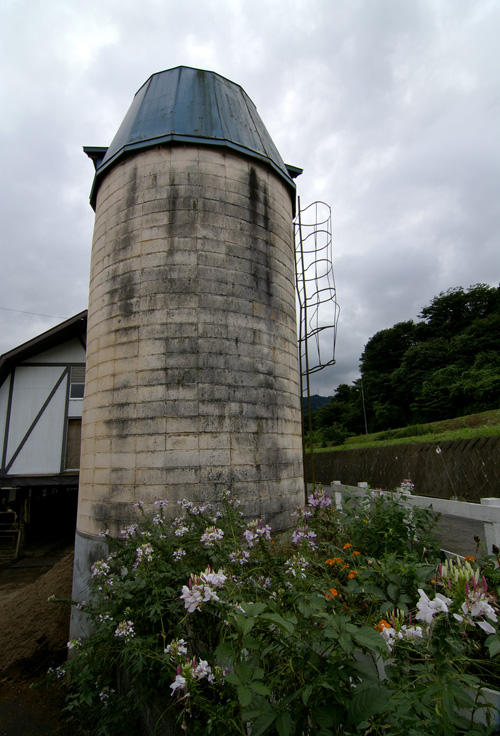 d0100156_27653.jpg