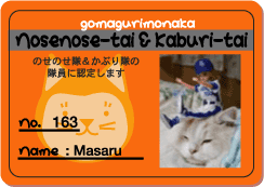 a0064067_0491271.gif