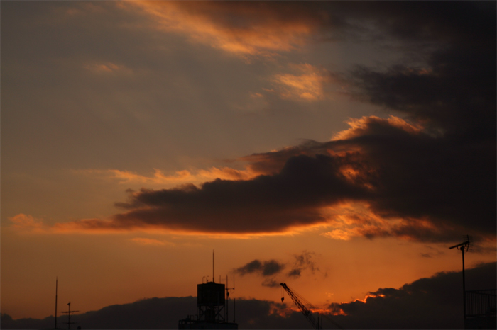 a0058669_225711100.jpg