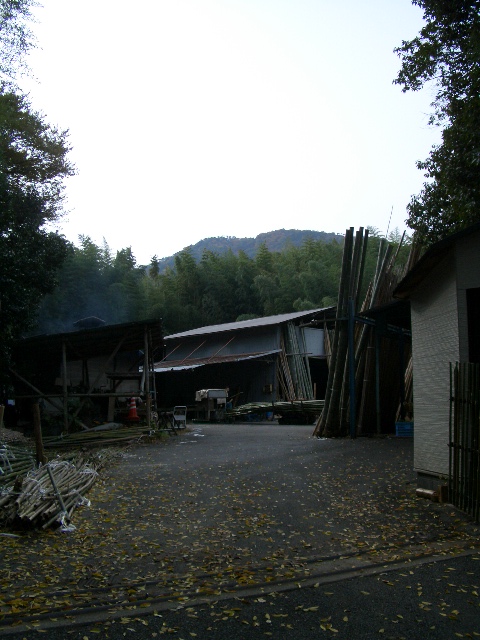 f0089079_1173284.jpg