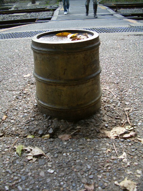 f0089079_117927.jpg