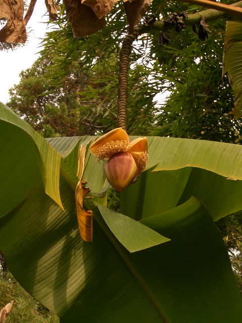 f0089079_1252986.jpg