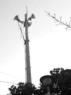 f0100480_98812.jpg