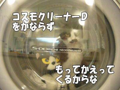 b0041182_21222079.jpg