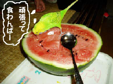 f0061283_21543585.jpg