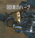 c0056384_13482611.jpg