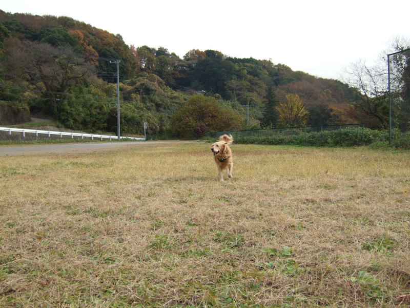 c0104492_23225456.jpg