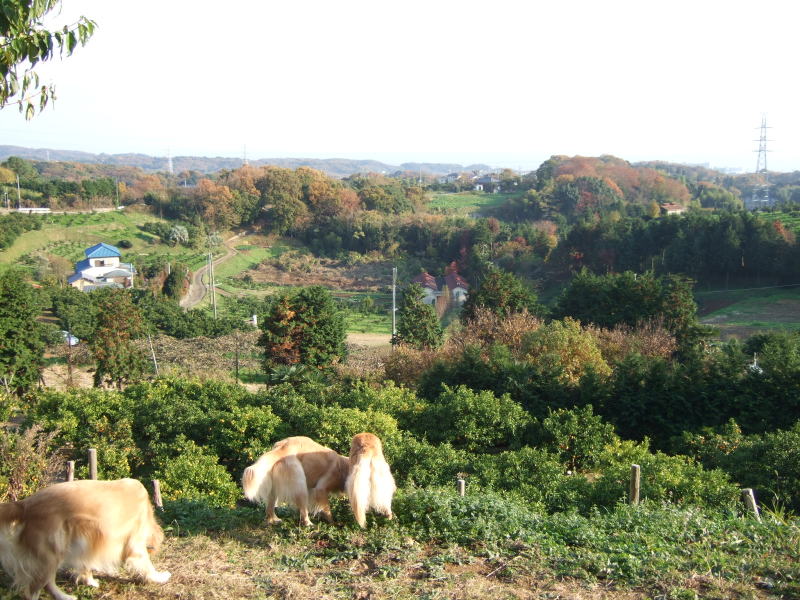 c0104492_23335874.jpg