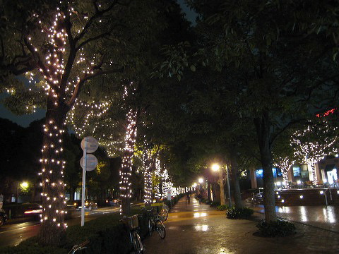 f0093592_22205786.jpg