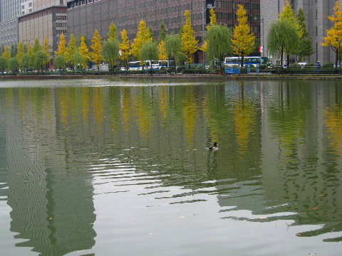f0093592_22231837.jpg
