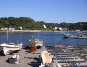 c0008598_2041385.jpg