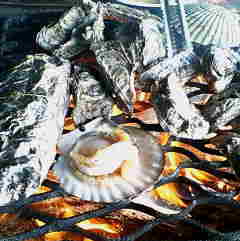 c0087001_2351043.jpg