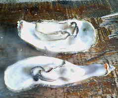 c0087001_23514825.jpg