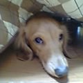 c0087001_2358674.jpg