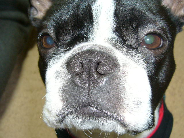 d0070702_22425586.jpg
