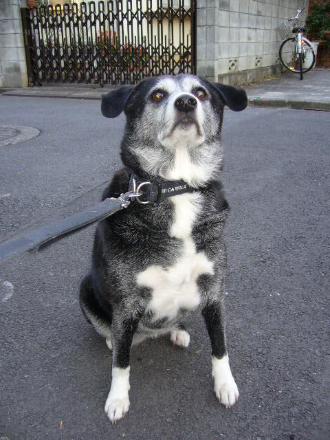 d0070702_23383177.jpg