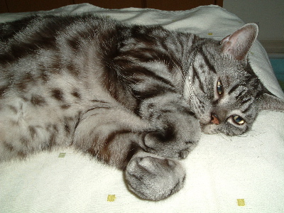 a0079803_1282974.jpg