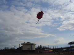 c0052304_2163970.jpg