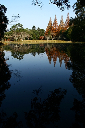b0003512_1231879.jpg